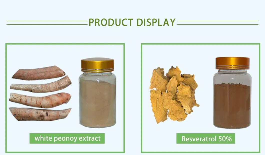 10: 1 Fructus Cnidii Extract