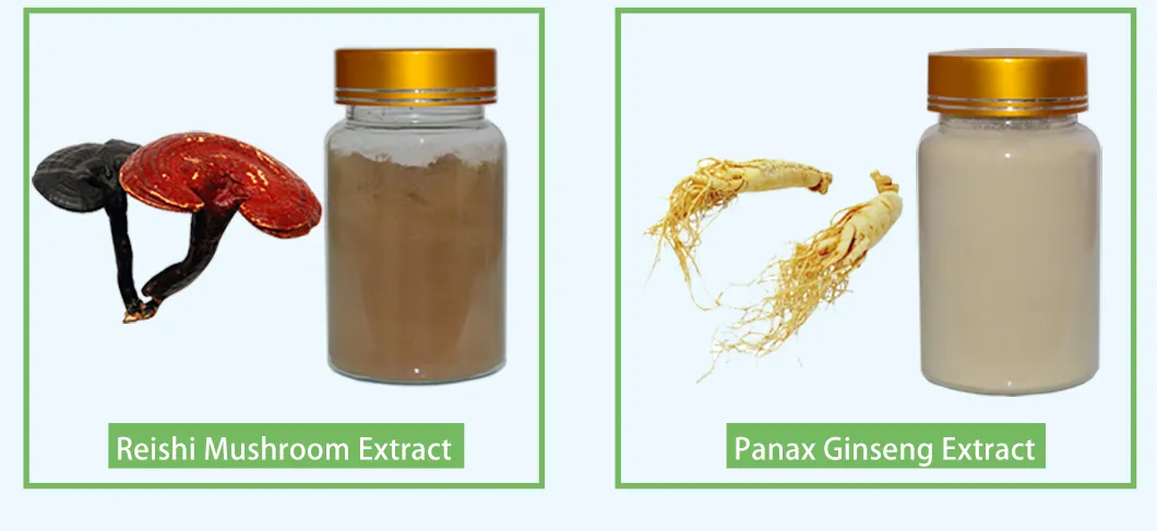 10: 1 Fructus Cnidii Extract