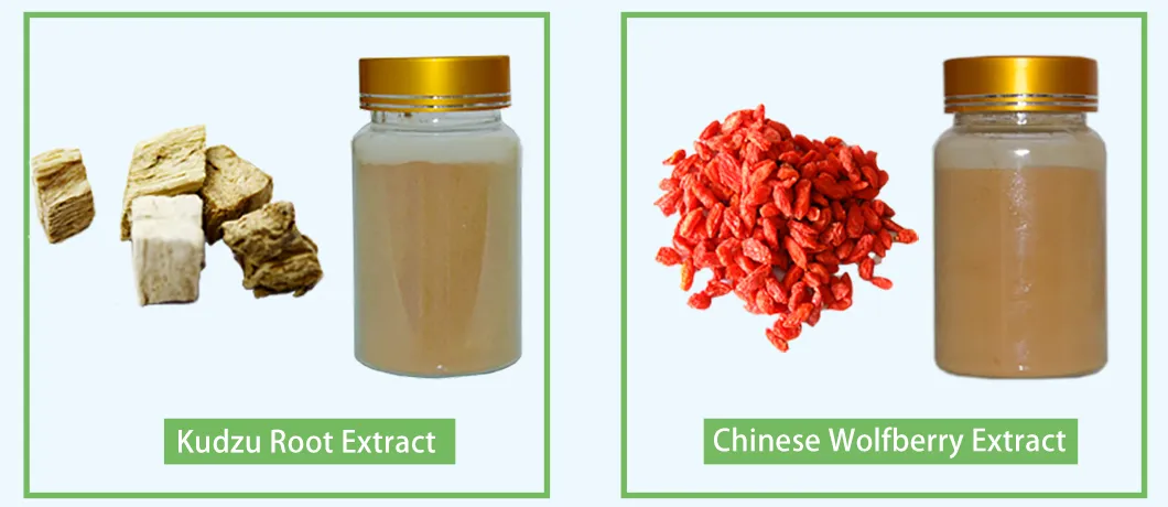 10: 1 Fructus Cnidii Extract