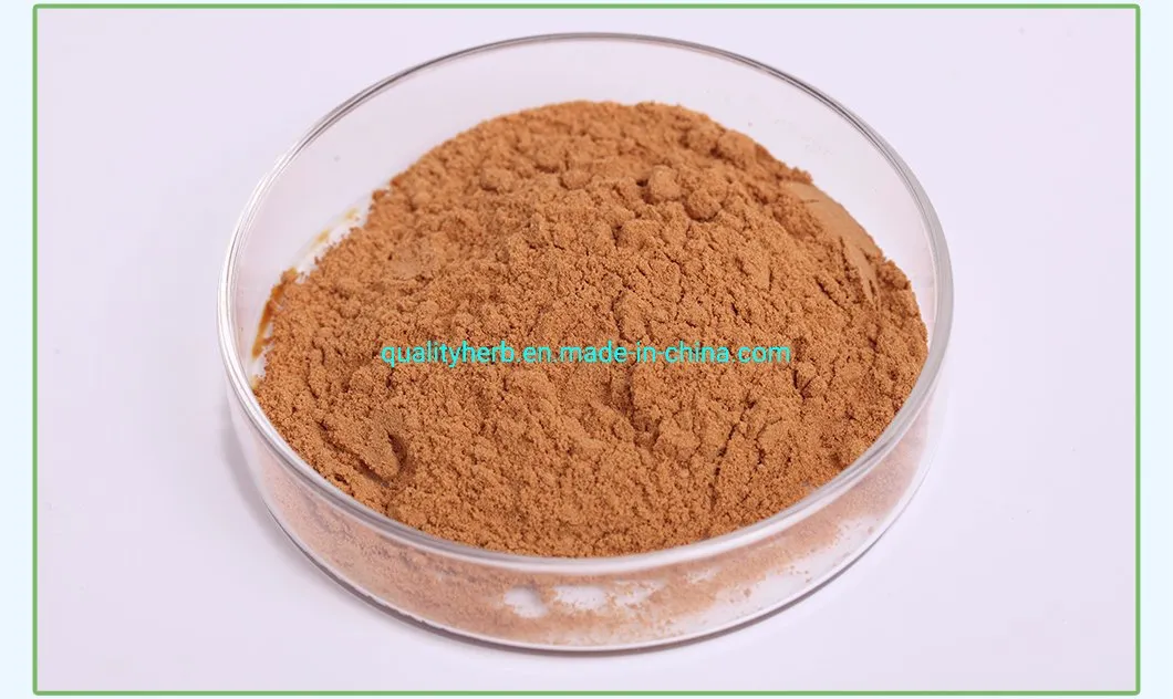 10% Apricot Kernel Extract Amygdalin Powder B17 Vitamin Extract