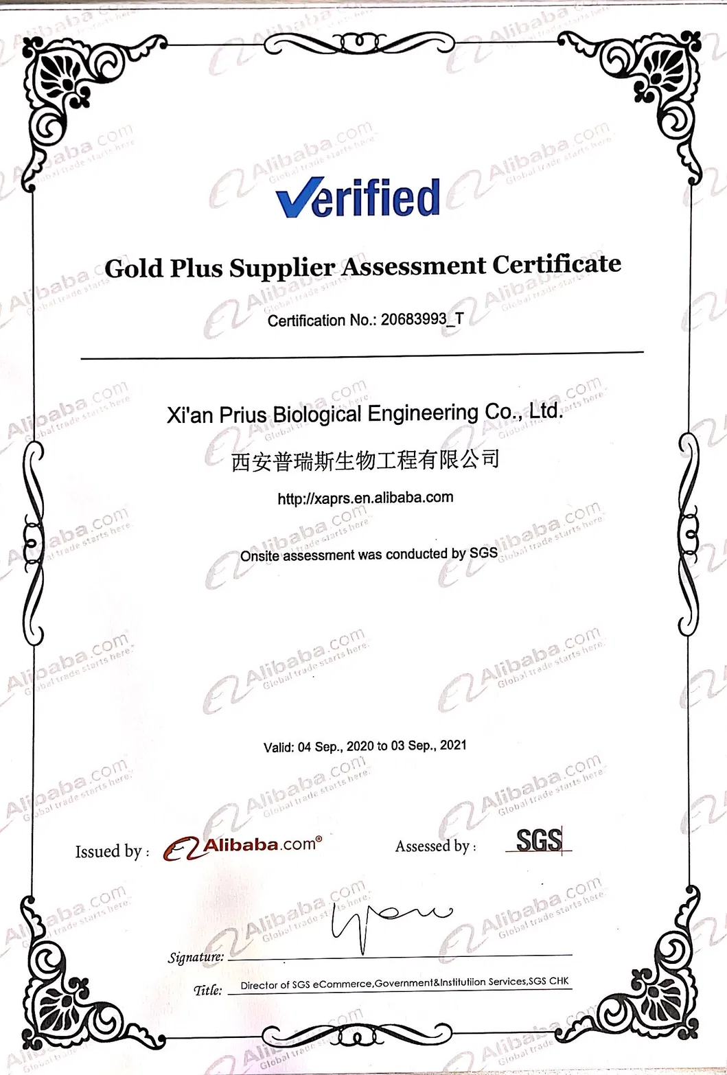 100% Natural Ajuga Ciliata Bunge Extract Turkesterone Capsules 2% Turkesterone