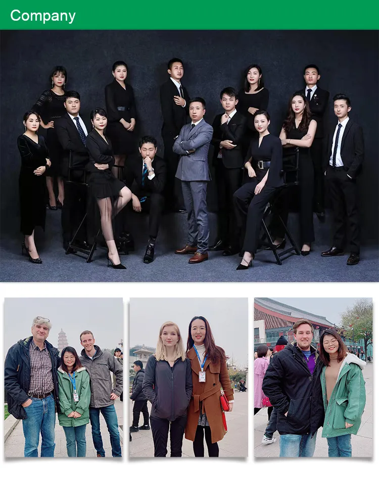 100% Natural Ajuga Ciliata Bunge Extract Turkesterone Capsules 2% Turkesterone