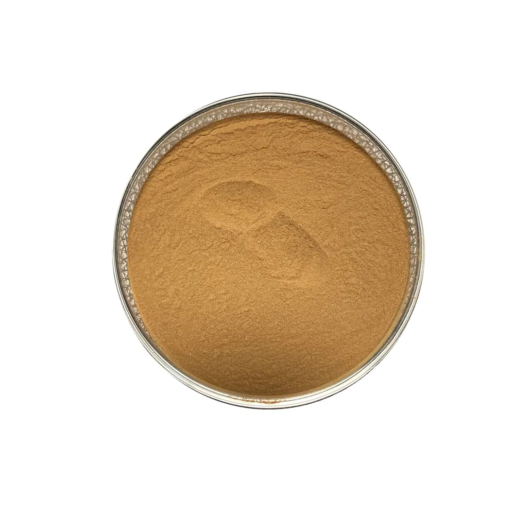 100% Natural Ajuga Ciliata Bunge Extract Turkesterone Capsules 2% Turkesterone