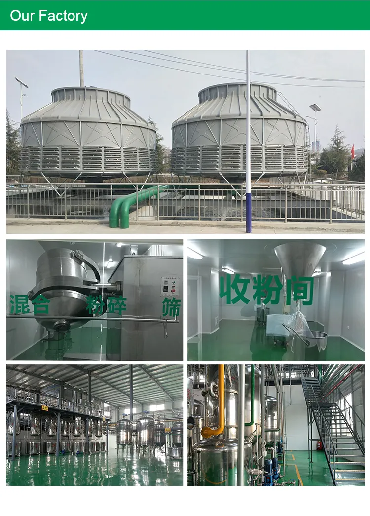 100% Natural Ajuga Ciliata Bunge Extract Turkesterone Capsules 2% Turkesterone