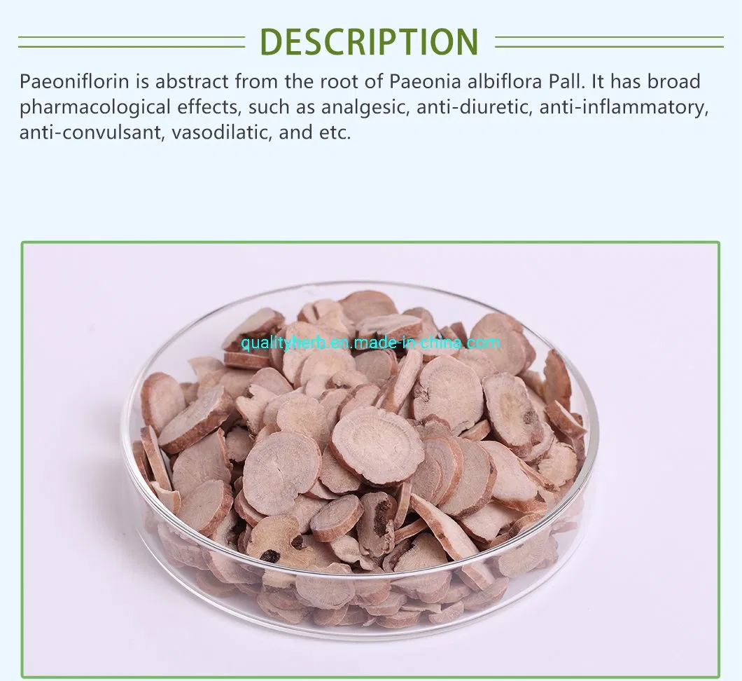 100% Natural Paeoniflorin White Peony Root Extract Powder Factory Supply Herb Extract