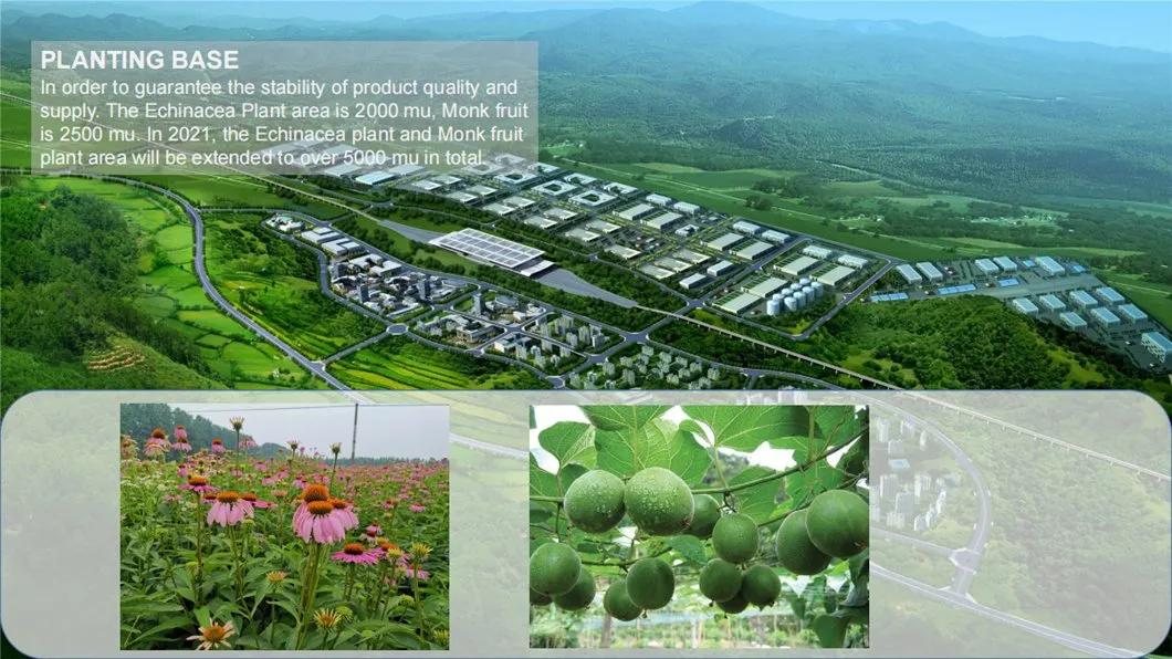 100% Natural Plant Extract Powder HPLC Soybean Isoflavone Red Clover Angelica Ecdysone Ecdysterone Dew Grass Extract