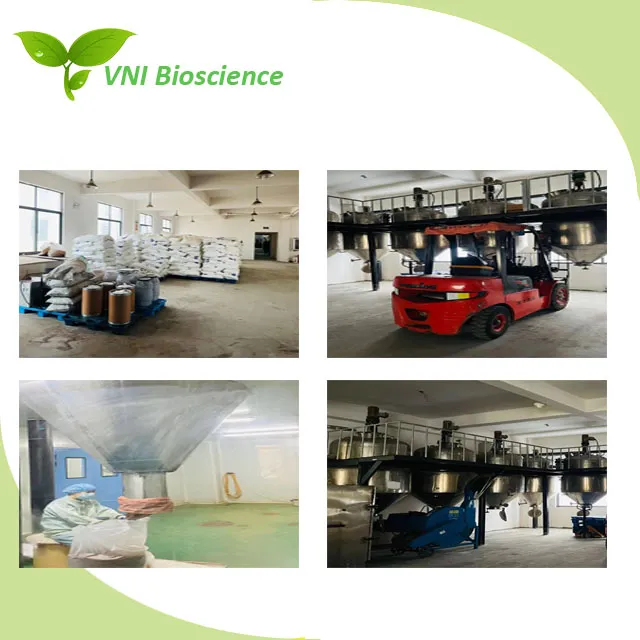 100% Natural Proanthocyanidins and Polyphenols Grape Seed Extract