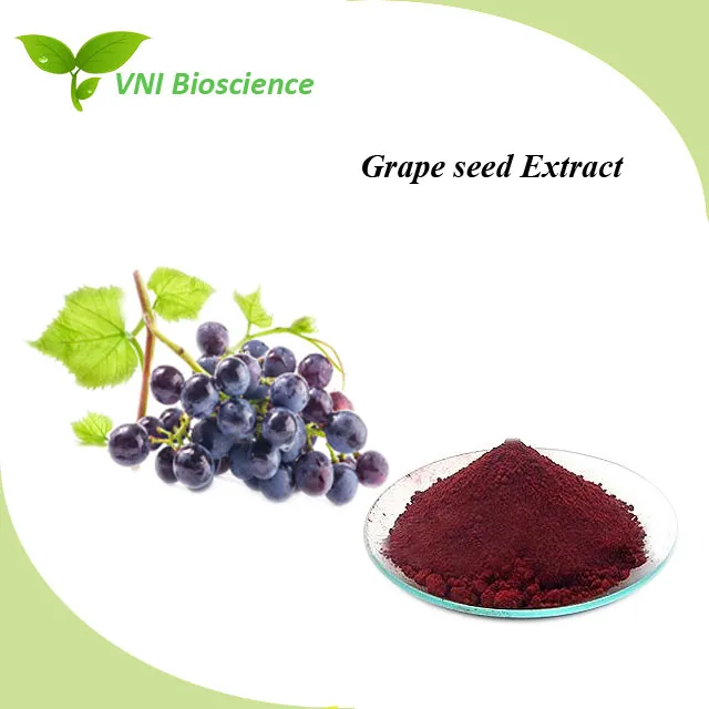 100% Natural Proanthocyanidins and Polyphenols Grape Seed Extract