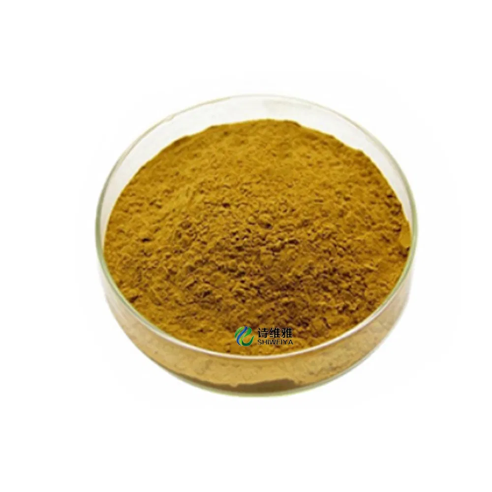 100% Natural Pure Cistanche Deserticola Ma Extract 10: 1
