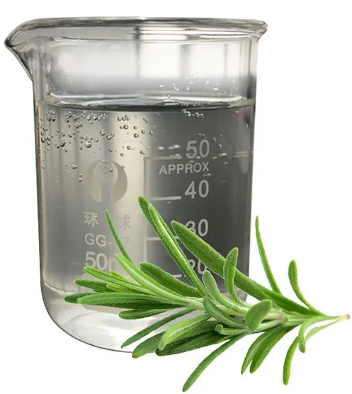 100% Natural Ursolic Acid Leaf Herbal Extract Organic Food Grade Rosemary Extract