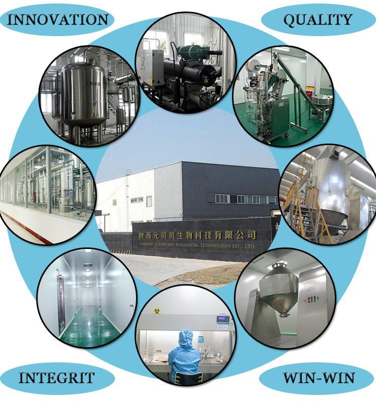 100% Natural Vine Tea Extract 50% Dihydromyricetin Powder