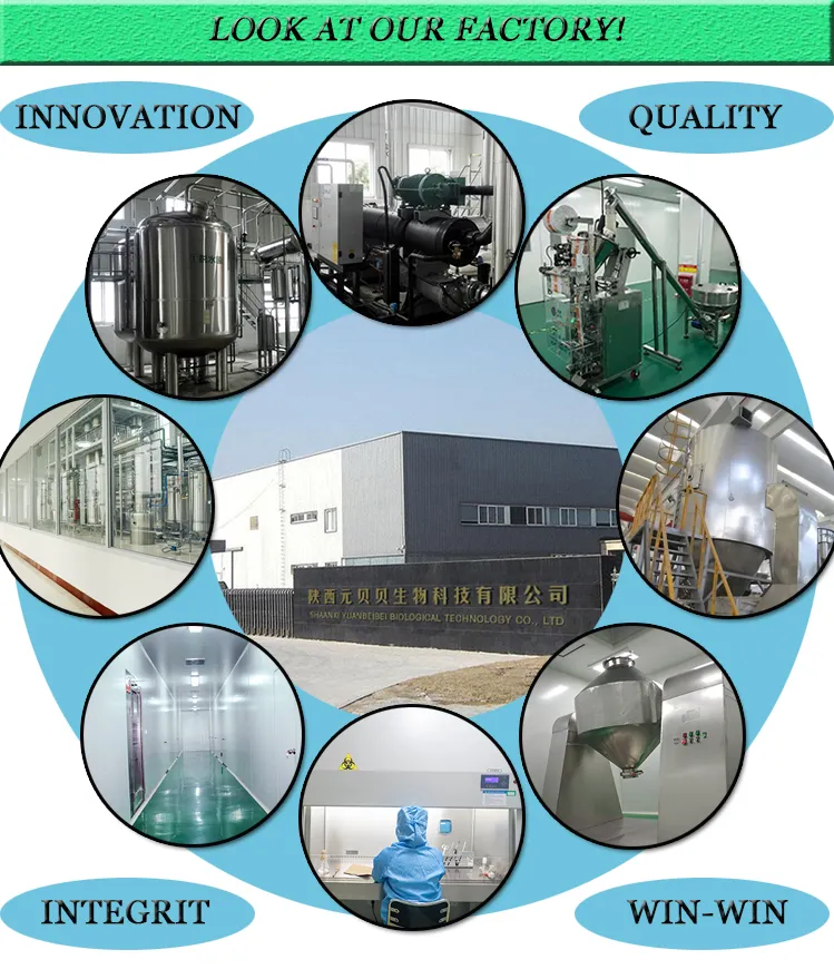 100% Natural White Willow Bark Extract Powder