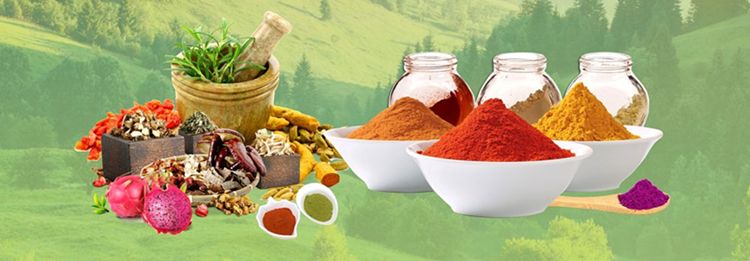 100% Natural Wild Yam Powder Extract/ Shan Yao Powder