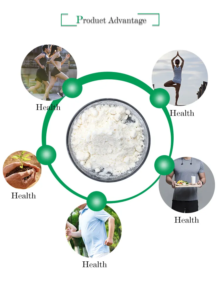 100% Nature Wild Yam Extract Powder Diosgenin Powder