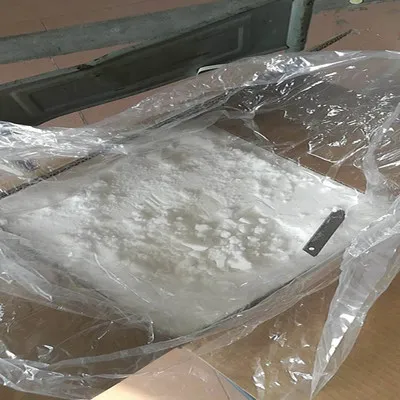 100% Pure Natural Camphor Powder D-Camphor CAS 464-49-3