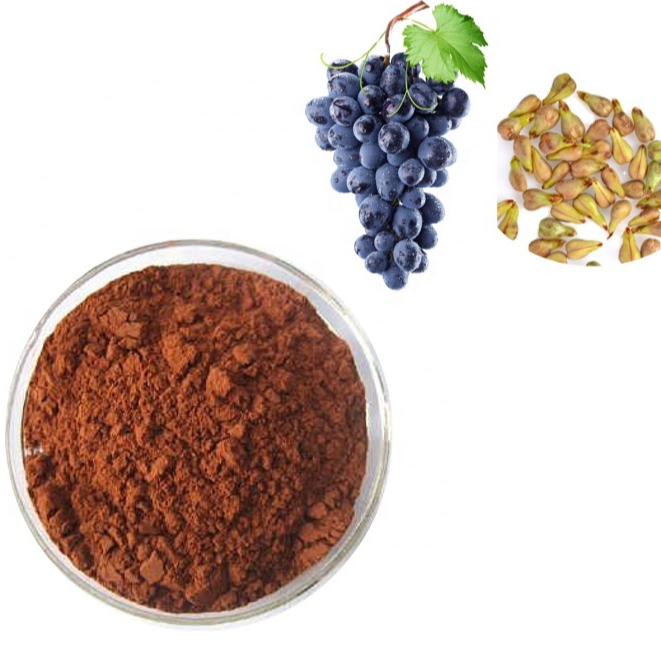 100% Pure Natural Grape Seed Extract 95% OPC Factory Direct Sale