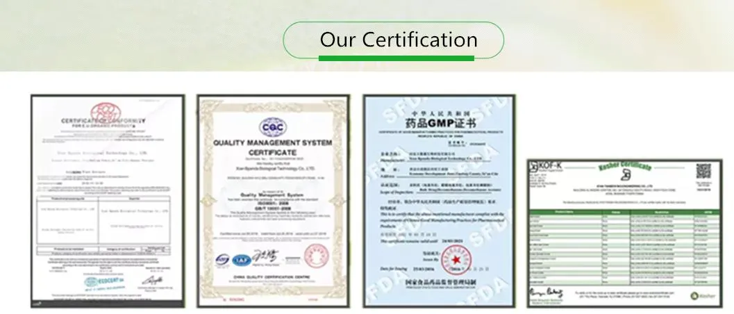 100% Top Quality Natural Organic Sunflower Lecithin Powder