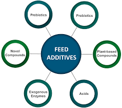Recent Advances in the development of feed additives