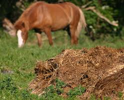 How important is manure in agriculture?