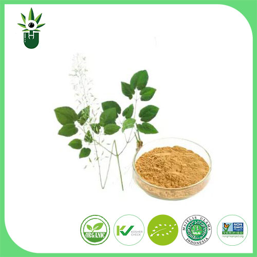 What does epimedium do to you？
