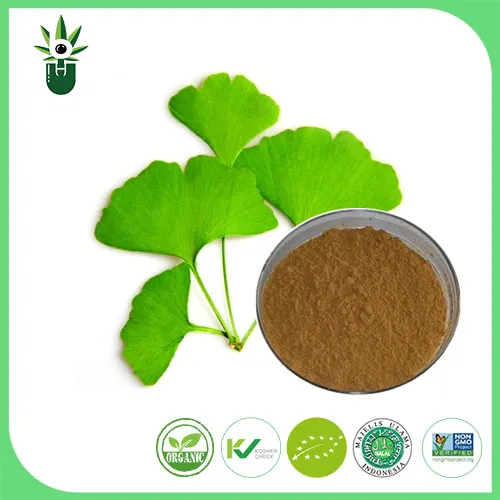 The Benefits of Plant Extracts for Human Health