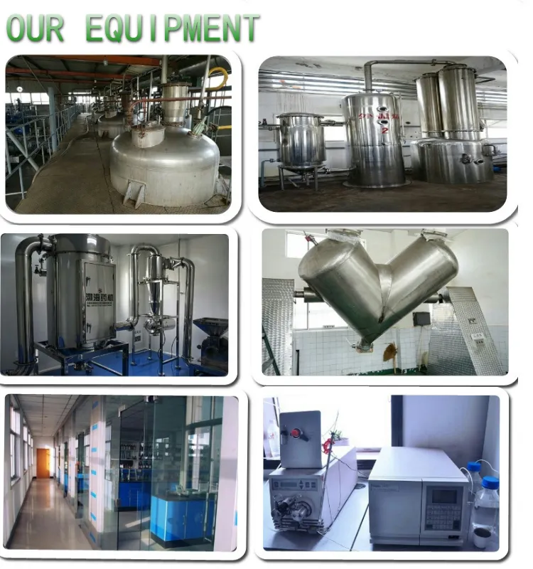 6-80% Oleuropein (HPLC) 10-30% Hydroxytyrosol Olive Leaf Extract Plant Extract