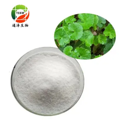 90%Nutural Herbal Extract Gotu Kola Asiaticoside Promotes Wound Healing for Cosmetic