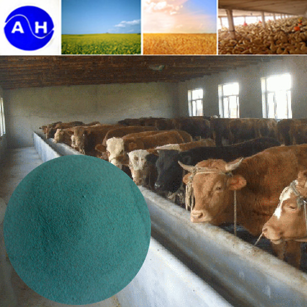Amino Acid Chelate Copper for Feed Additive