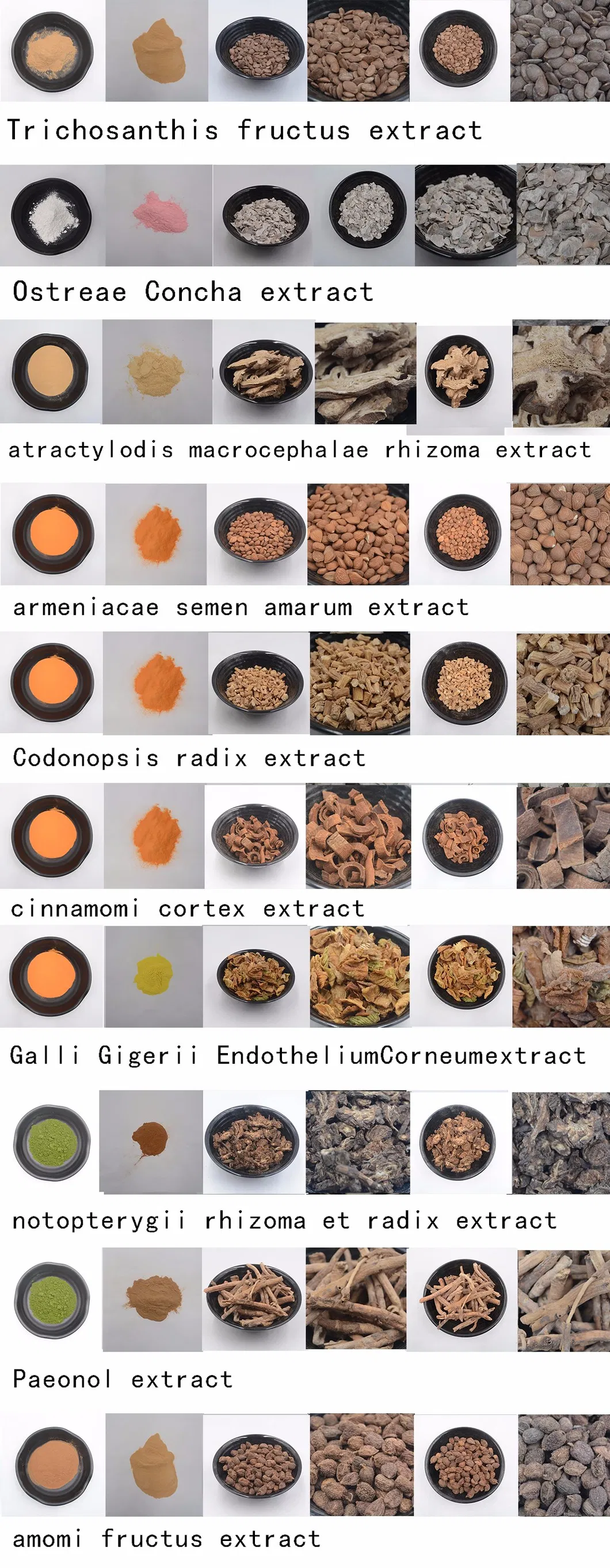 Amygdalin Extract, Plant Extract, Herbal Extract