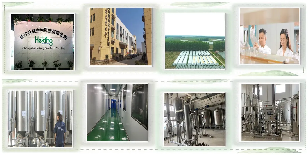 Amygdalin (Vitamin B17) / Almond Seed Extract