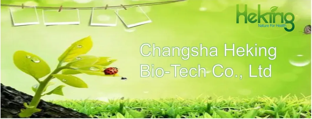 Angelica Extract, Dong Quai Extract, Ligustilide 1%, Angelica Sinensis Extract