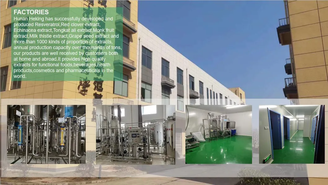 Angelica Extract, Dong Quai Extract, Ligustilide 1%, Angelica Sinensis Extract