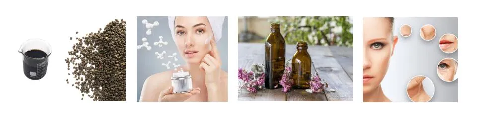 Anti-Aging Natural Cosmetic Ingredient Psoralen Extract Psoralea Corylifolia Linn. Bakuchiol China Factory