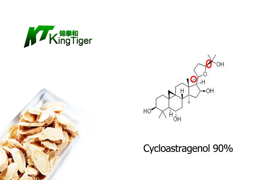 Anti-Aging Product Astragalus Extract Cycloastragenol 90% Plant Extract Herb Extract Raw Material