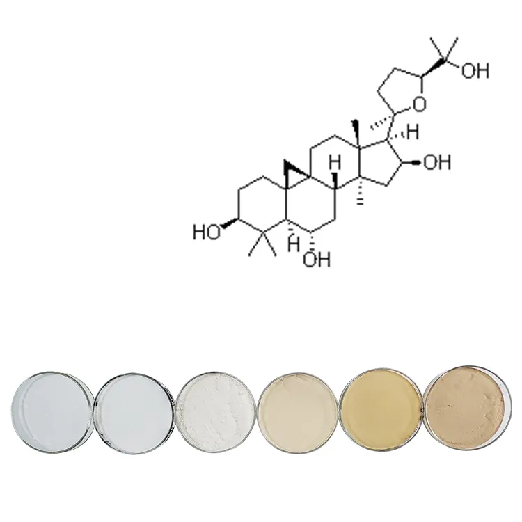Anti-Aging Product Astragalus Extract Cycloastragenol 90% Plant Extract Herb Extract Raw Material
