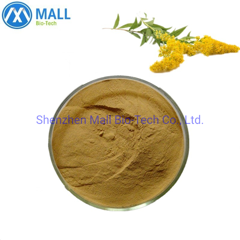 Anti-Bacterial Health Products Anti-Virus Flavonoids Solidago Decurrens Lour Goldenrod Extract