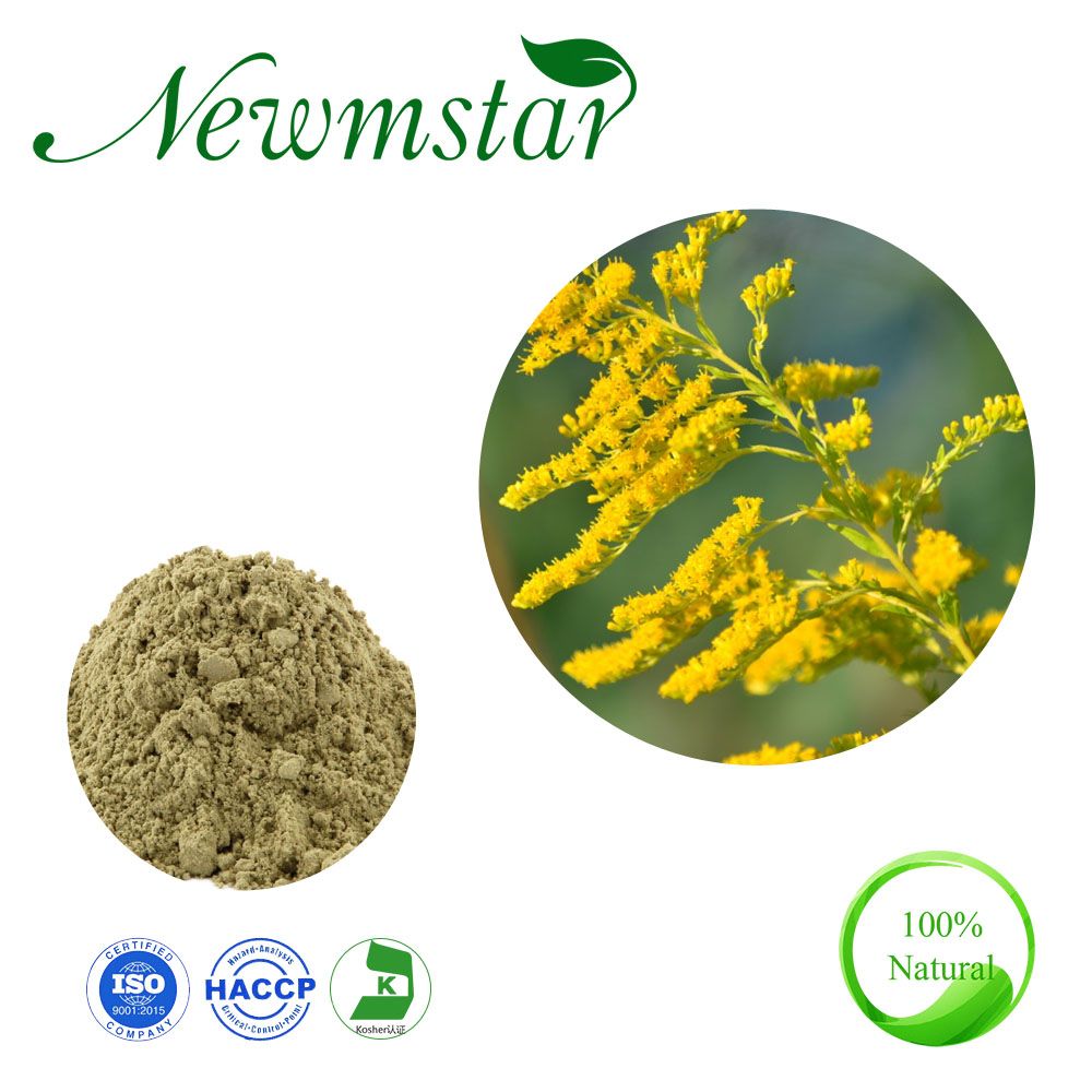 Anti-Bacterial Health Products Anti-Virus Flavonoids Solidago Decurrens Lour Goldenrod Extract Golden Rod Extract