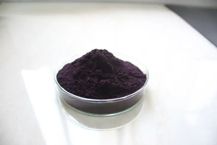 Antioxidant Elderberry Extract with Free Samples