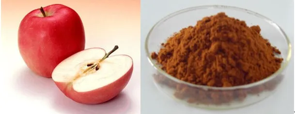 Apple Extract Instant Apple Powder