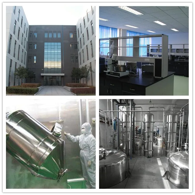 Apple Skin Extract Phlorizin Powder / Procyanidin B2