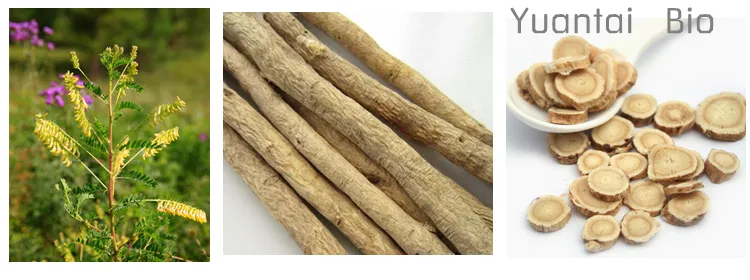 Astragalus Root Extract 98% Astragaloside IV