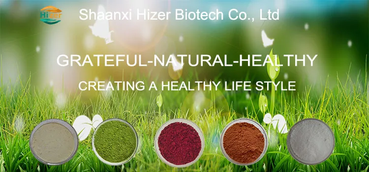 Best Natural Capsicum Extract Powder Red Chili Pepper Extract 95% 98% Capsaicin