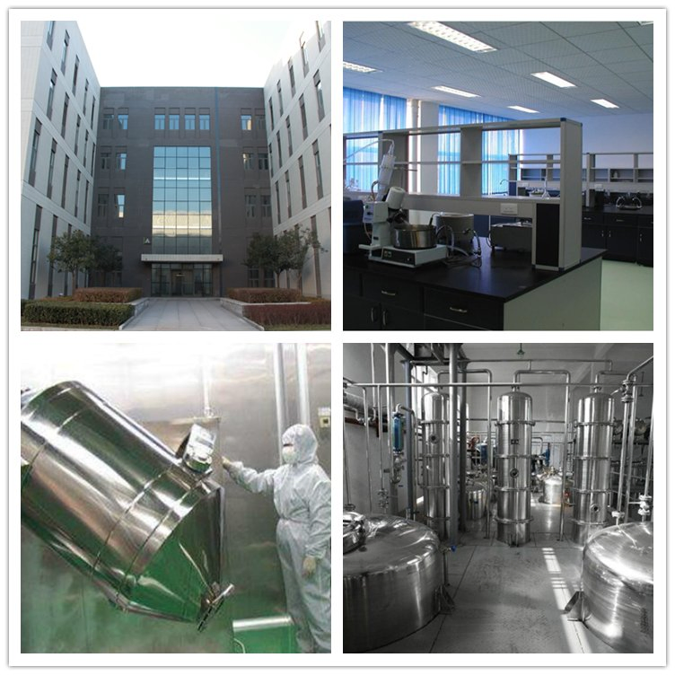 Best Price Coconut Juice Powder Original Coconut Fruit Powder Coconut