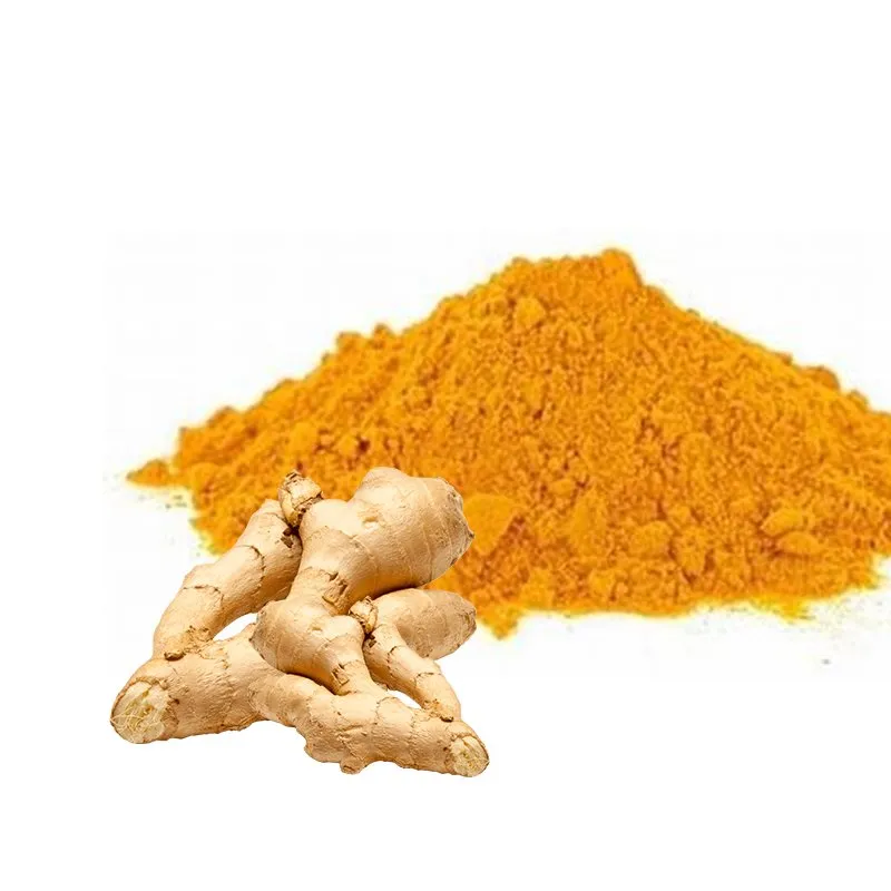 Best Price Curcumin Rate Turmeric