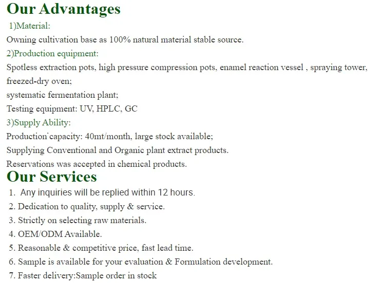 Best Price Curcumin Rate Turmeric