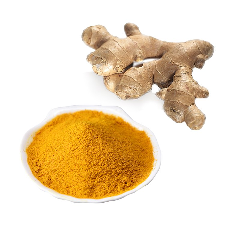 Best Price Curcumin Rate Turmeric