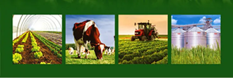 Biopesticide Azadirachtin (0.5%EC, 1.0%EC) -Insecticide