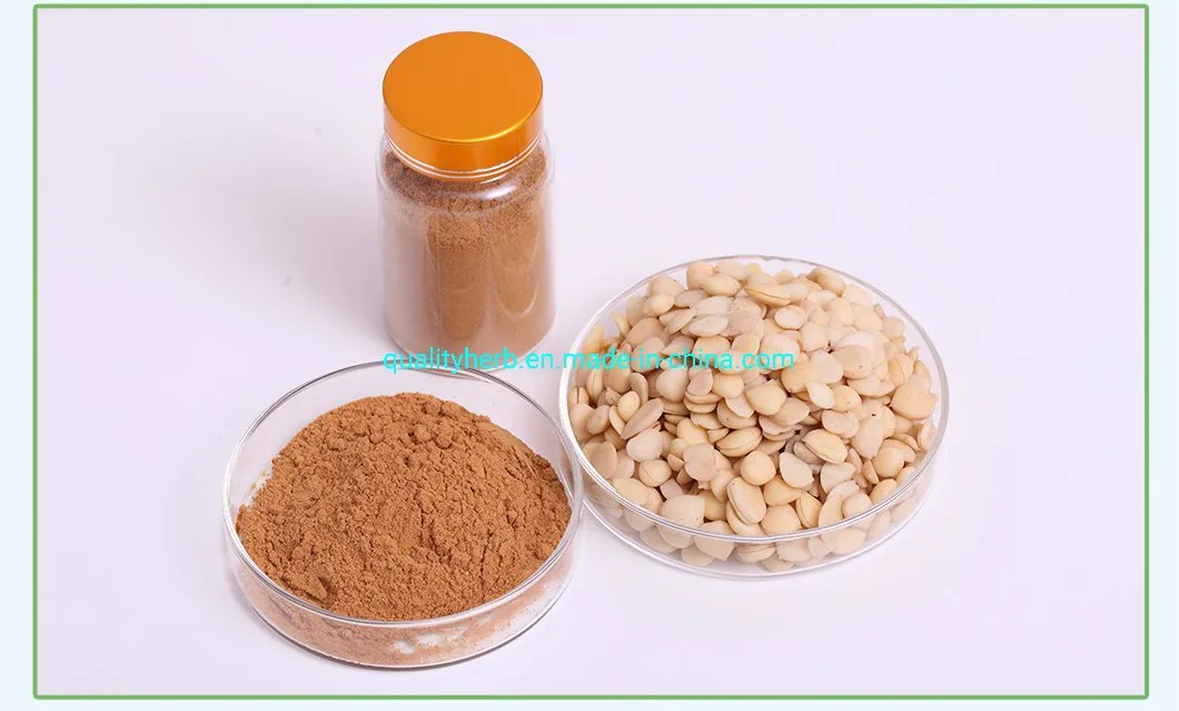 Bitter Almond Apricot Seed Extract 98% Amygdalin Vitamin B17 Powder CAS No. 29883-15-6 for Fighting Cancer