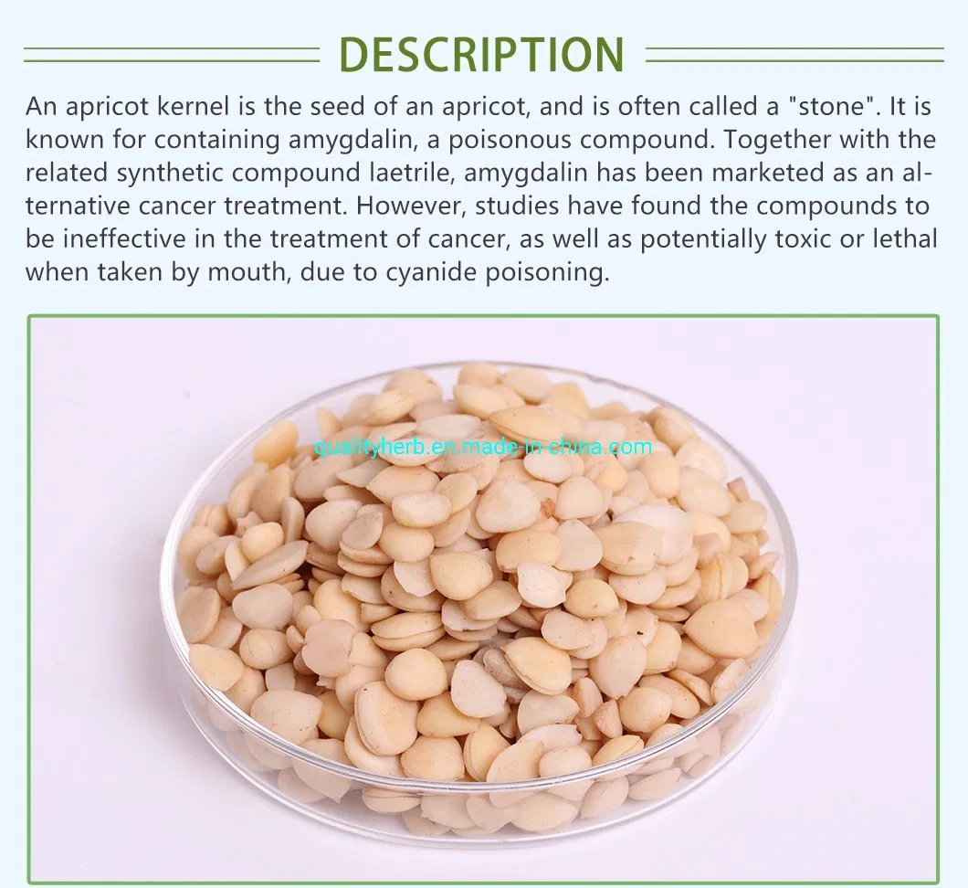 Bitter Almond Apricot Seed Extract 98% Amygdalin Vitamin B17 Powder CAS No. 29883-15-6 for Fighting Cancer