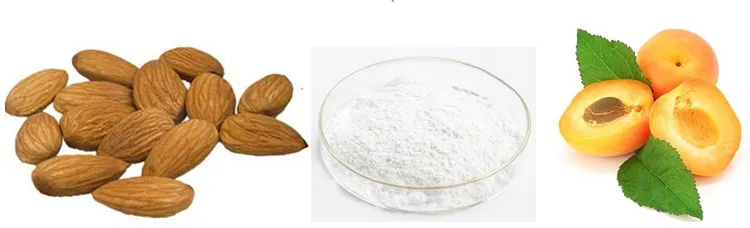 Bitter Apricot Seed Extract 50% Amygdalin (Vitamin B17) CAS No. 29883-15-6